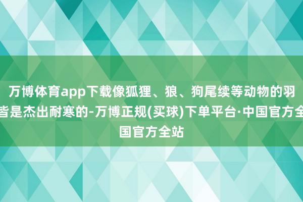 万博体育app下载像狐狸、狼、狗尾续等动物的羽毛皆是杰出耐寒的-万博正规(买球)下单平台·中国官方全站